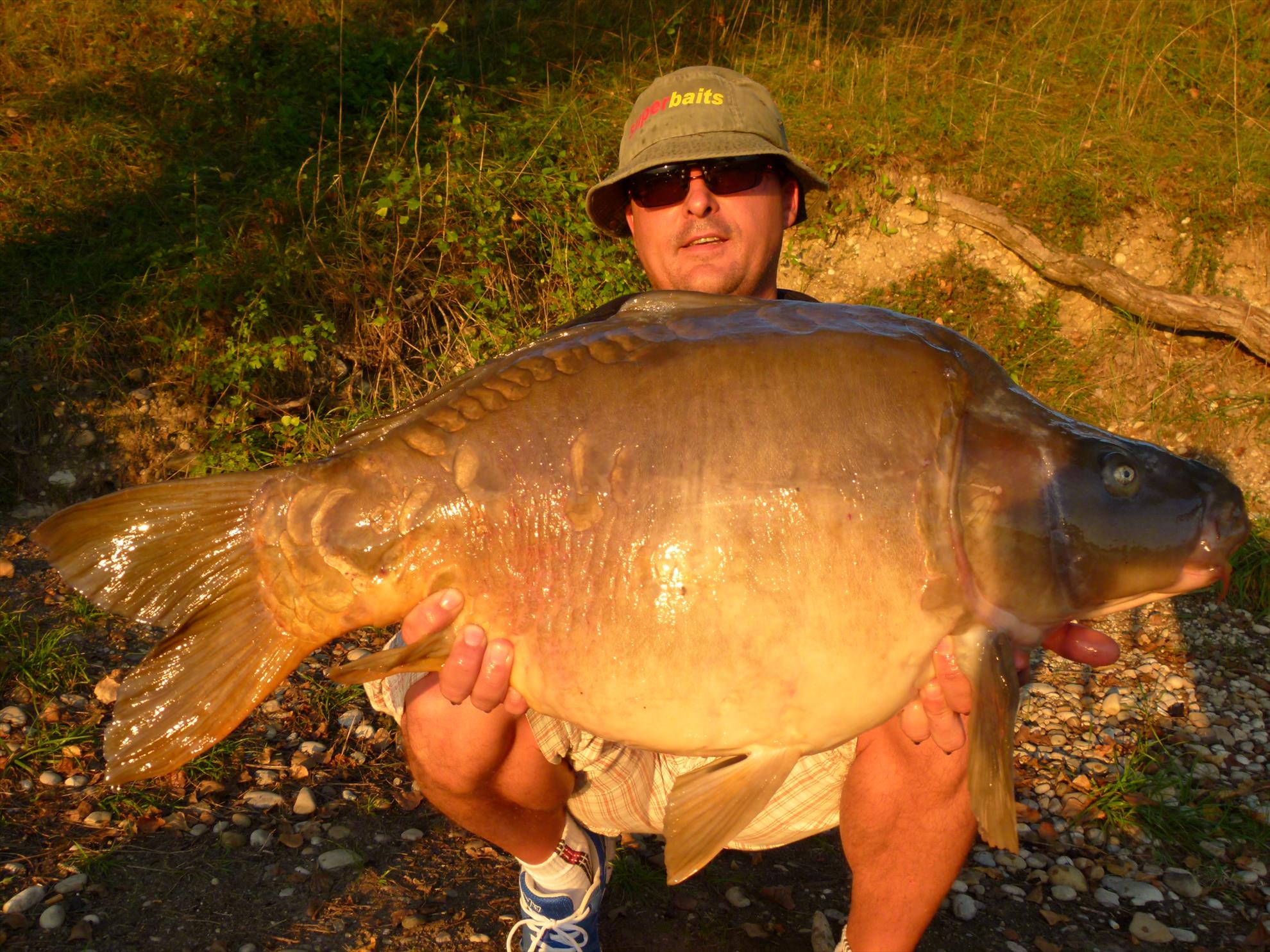 regiune Rhône-Alpes 23 - 23 sep. - p1030904.JPG